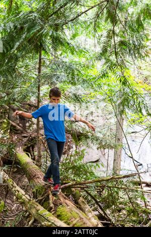 A teenage boy balances while walking on a log in a forest; Salmon Arm, British Columbia, Canada Stock Photo