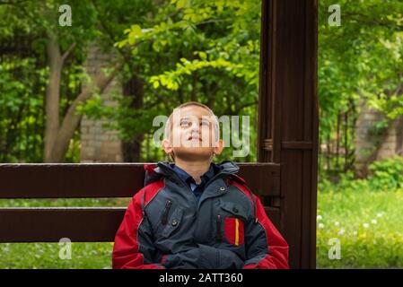 Close-up of dreaming boy in casual clothings. Teenager is looking up while sitting alone on brown wooden bench in park. Selective focus. Unfocused gre Stock Photo