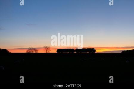 2 Direct rail services class 68 locomotives passing Silverdale (between Carnforth & Arnside) running light engine at sunset Stock Photo