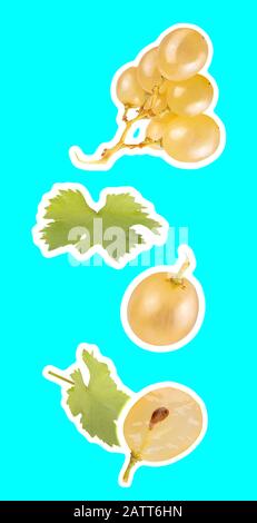 Floating white wine grapes isolated on cyan background Stock Photo