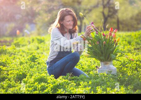 girl collects a bouquet of tulips in the garden against the backdrop of the sunset. spring and gardening Stock Photo