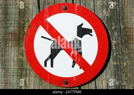 No dogs allowed warning circular sign with black dog on white background, crossed by a red line in a red circle and attached by nails to wooden post. Stock Photo