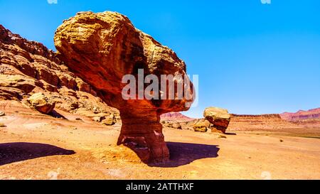 Large Balanced Rock Toadstool near Lee's Ferry in Glen Canyon National Recreation Area at Vermilion Cliffs and Marble Canyon near Page, Arizona, USA Stock Photo
