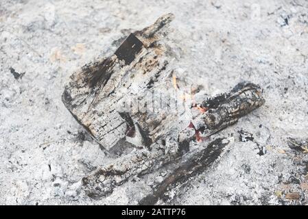 Pile of ashes after the fire bonfire burn wood with ashes and charcoal / Stock Photo