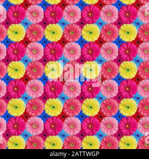 Seamless pattern of many colorful gerbera flowers, bright multi-colored daisy flower repeating ornament, beautiful summer floral art wallpaper, spring Stock Photo