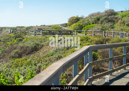 Elephant seal colony at Hearst San Simeon State Park, California Coast Stock Photo