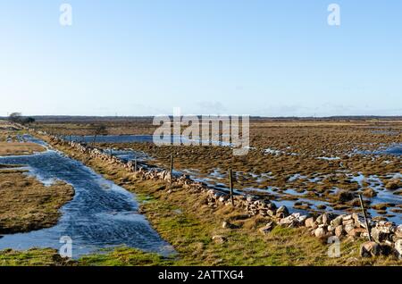 Flooded landscape by early springtime at the swedish island Oland Stock Photo
