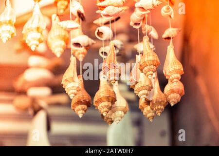 Home decorations made from different shape and color seashells Stock Photo