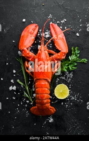 Lobster with spices on a dark background. Top view. Free copy space. Stock Photo