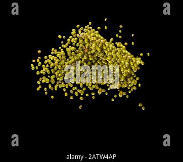 Splash of green mung beans isolated on the black background. Stock Photo