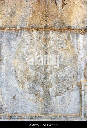 Cypress tree bas relief, detail from Apadana Palace stairway, Persepolis, Iran Stock Photo