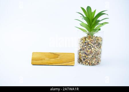 A blank wooden name plate beside a miniature fresh green tree on an isolated white background Stock Photo