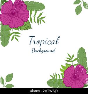 Tropical leaves and Flowers on White background. Exotic botanical design for Greeting card, packaging design, Web design - Vector Illustration Stock Vector