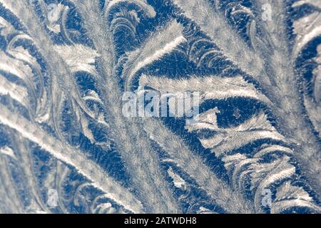 frost pattern on the glass Stock Photo