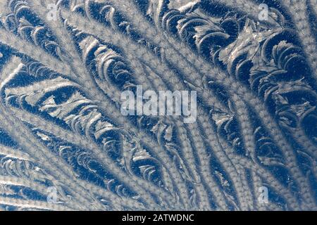 frost pattern on the glass Stock Photo