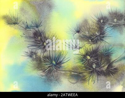 pine tree branches in color background watercolor Stock Photo