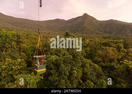 Scientists studying response to wet-dry seasonal transition in rainforest trees, in basket lifted by crane. Daintree rainforest observatory, Queensland, Australia. February 2015 Stock Photo