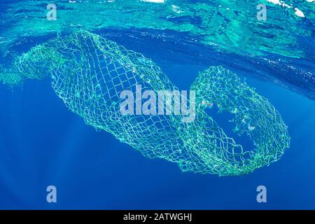 Floating, abandoned net in the ocean, Dominica, Caribbean Sea - Stock Image  - C049/6108 - Science Photo Library