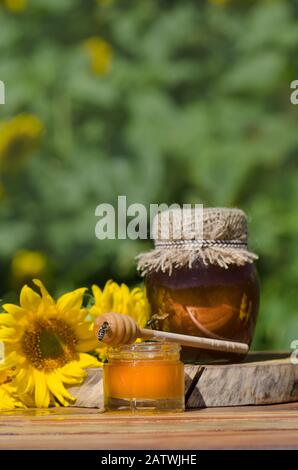 Hohey in glass jars  and  western honey bee. Honey Bee on nature  background . Bee sitting on  glass of honey. Honey dipper and honey in a jar Stock Photo