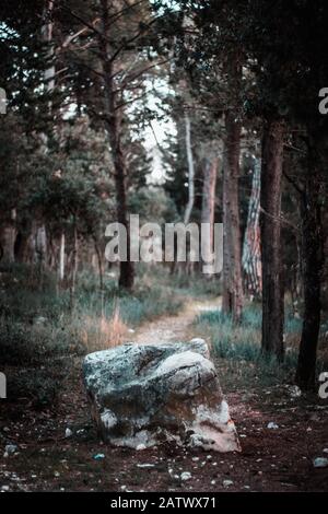Misty scary forest at sundawn. Large cube shaped rock stays in the middle of a footpath leading into the distance Stock Photo