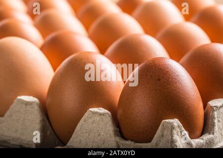 Chicken eggs in carton box - Close up Stock Photo
