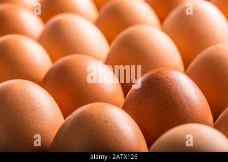 Chicken eggs in carton box - Close up Stock Photo