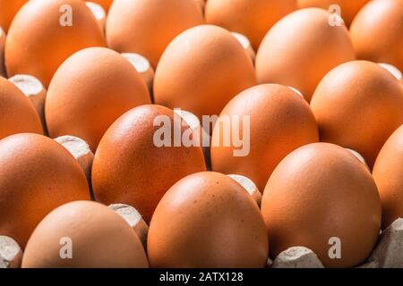 Chicken eggs in carton box - Close up Stock Photo