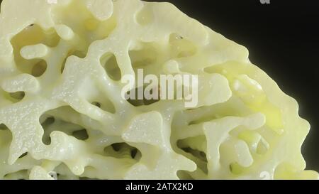 Bone affected with osteoporosis - cross section - 3D rendering Stock ...