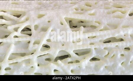 Bone affected with osteoporosis - cross section - 3D rendering Stock ...