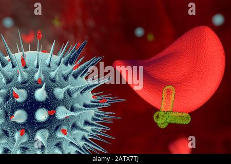 Viruses and bacteria inside the circulatory system under a microscope. Stylized 3D illustration Stock Photo