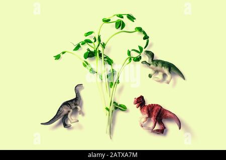 Fresh snow pea sprouts with dinosaurs toys. Healthy diet superfood and micro green eating concept. Stock Photo