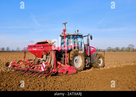 Massey Ferguson 6490 drilling or seeding winter wheat with a power harrow combination drill on to ploughed field Stock Photo