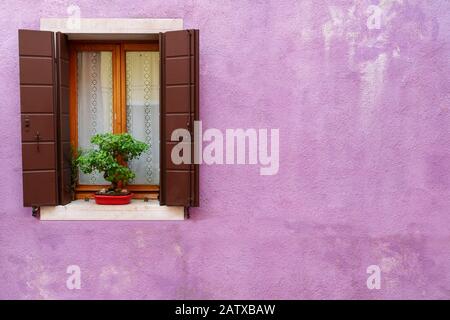 vintage wooden window on cracked purple cement background Stock Photo