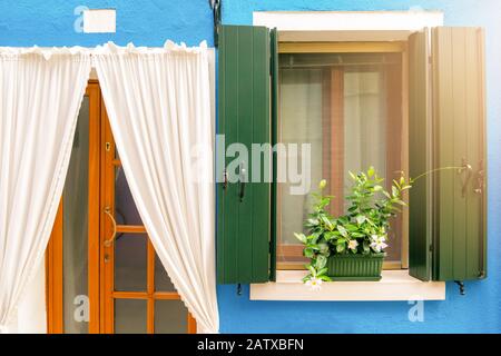 vintage wooden window and white curtain on blue cement background Stock Photo