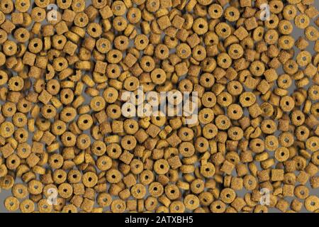 Scattered a lot of dry food for cats or other animals on gray surface. Abstract background. Soft focus and selective focus. Close-up. Stock Photo