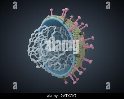 Molecular structure of human body Stock Photo - Alamy