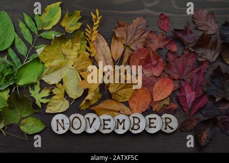 colorful autumn leaves in color gradient from green, yellow, orange, dark red to brown on wood with letters forming name of calendar month NOVEMBER Stock Photo