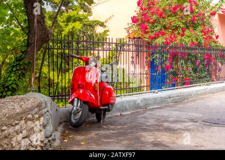 Summer blooming garden in sunny weather. A red scooter in retro style is parked at the fence Stock Photo