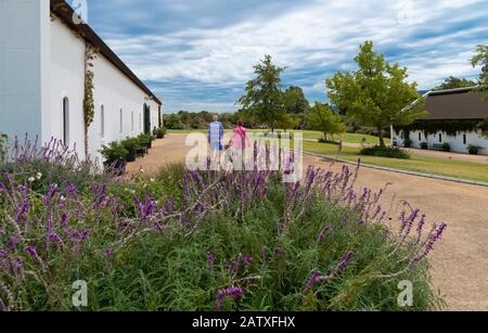 Franschhoek Motor Museum showing the grounds and buildings which house the immaculate classic cars, Franschhoek, South Africa Stock Photo