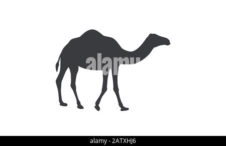 Silhouette of camel. Dromedary, one-humped camel. Stock Vector