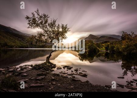 The Lone Tree at Llyn Padarn near Llanberis in Snowdonia National Park, Wales, UK Stock Photo