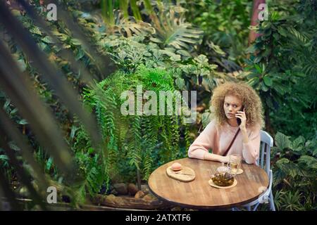 Young serious woman with curly hair sitting at the table drinking tea and talking on mobile phone among green plants in cafe Stock Photo