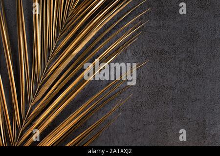 Closeup of golden palm leaf on abstract dark grey textured background. Tropical conceptual luxury elegant trendy art deco summer background. Flat lay. Stock Photo
