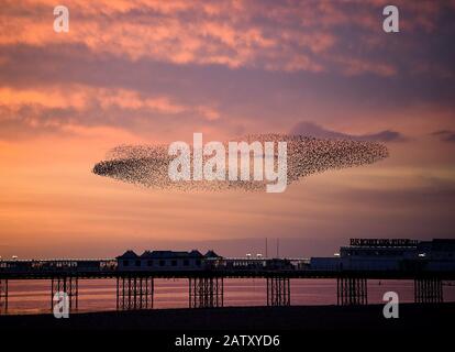 Brighton UK 5th February 2020 - Starlings create spectacular shapes over Brighton Palace Pier this evening at their daily murmuration at dusk . More fine settled weather is forecast for the next couple of days in Britain before stormy weather is set to arrive at the weekend  . Credit: Simon Dack / Alamy Live News Stock Photo
