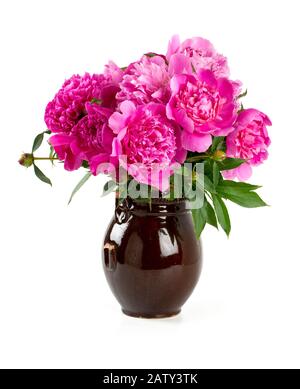 peonies in a clay vase over white Stock Photo
