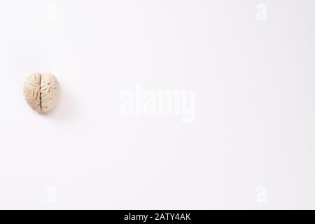 polymer clay brain, top view, isolated on a white background, place for text Stock Photo