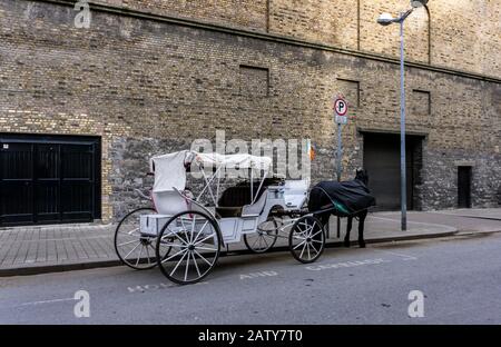 A horse and carriage parked outside the Guinness Storehouse in Dublin in a parking lot reserved for horses and carriages. Stock Photo