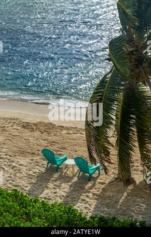 Two beach chairs on the sand with palm tree and ocean breeze Stock Photo