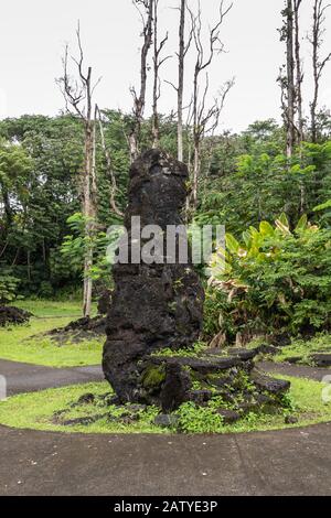 Leilani Estate, Hawaii, USA. - January 14, 2020: Centuries old black Lava Tree with rocks on side in green State Monument Park under silver sky. Trees Stock Photo