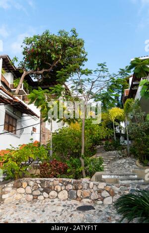 Looking up the pedestrian walkway steps on Calle Mina in Puerto Vallarta Mexico. Stock Photo